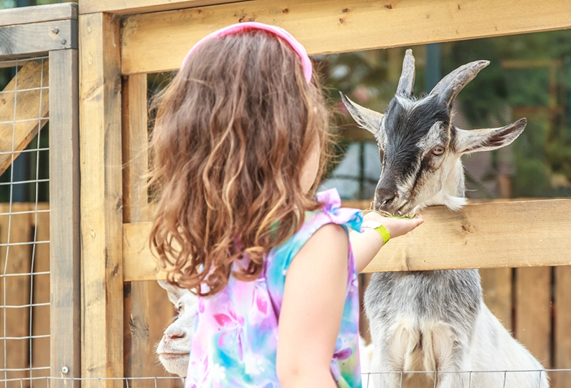 Abbotsford Agrifair July 31 - Aug 2
