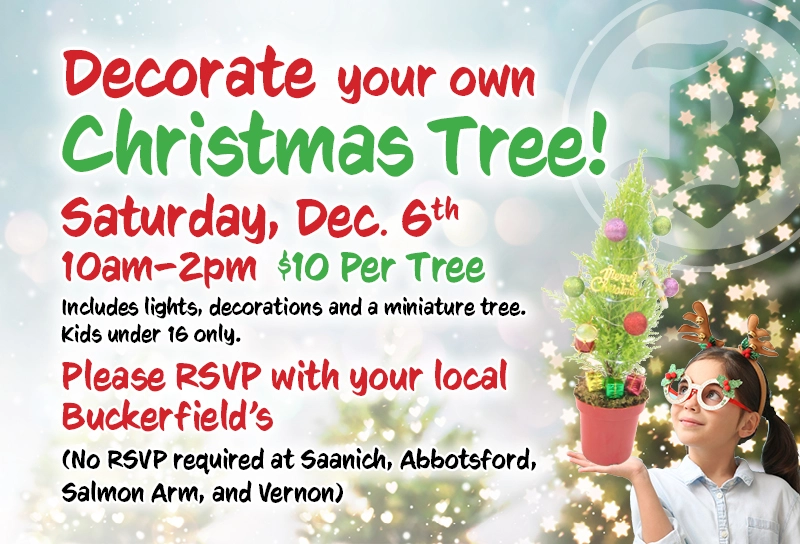 Decorate your own Christmas Tree!