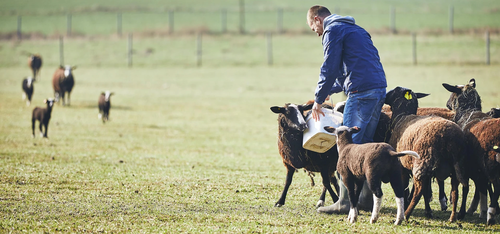 Find Your Nearest Buckerfield’s