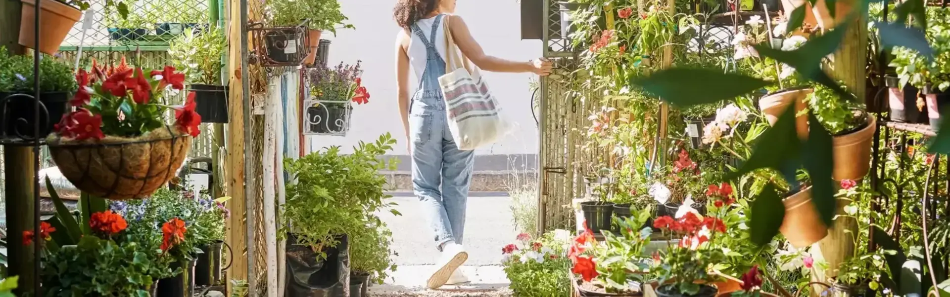 Spring is in the air!