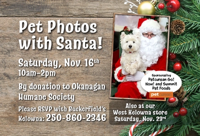 Kelowna Pet Photos with Santa