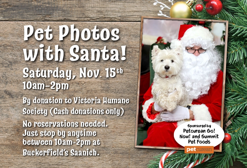 Saanich Pet Photos with Santa