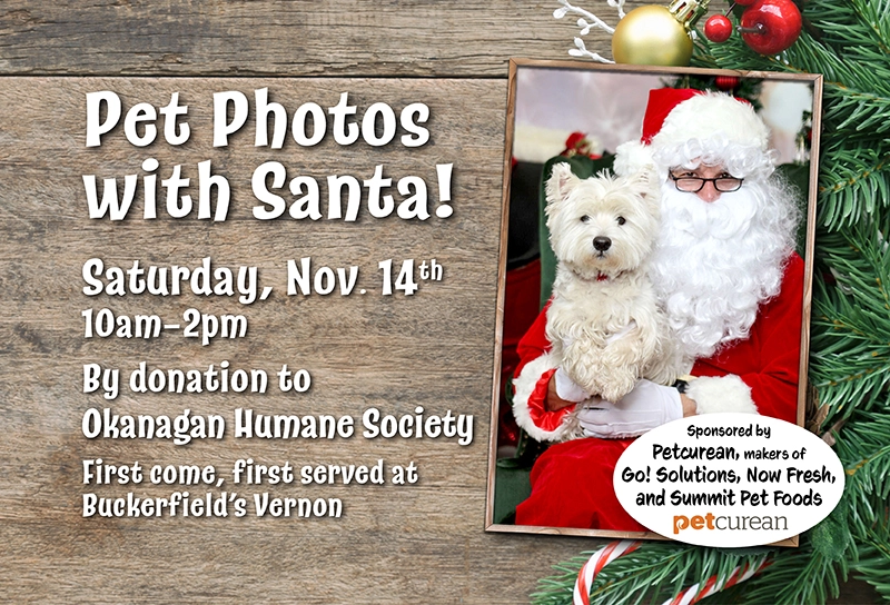 Vernon Pet Photos with Santa