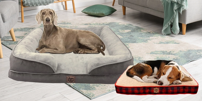 All Dog Beds