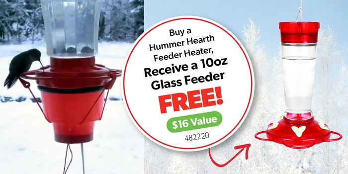 Hummer Hearth Hummingbird Feeder Heater