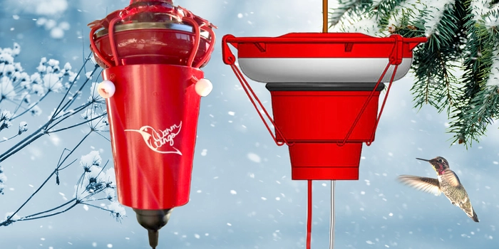 Hummingbird Feeder Heaters