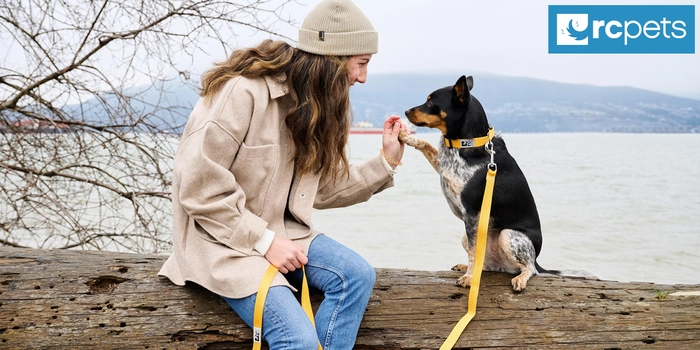 RC Pets Collars & Leashes