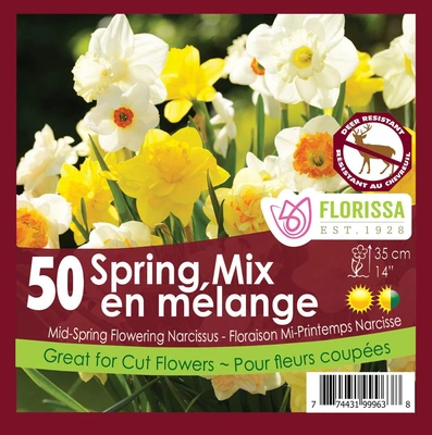 Van Noort Narcissus Standard Mix 50pk