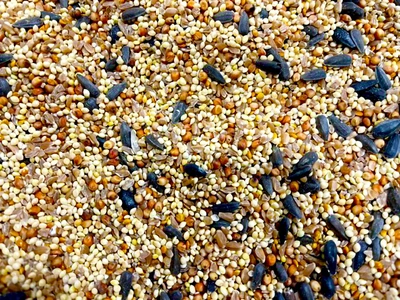 Buckerfield's Best Buy Wild Bird Seed 16kg