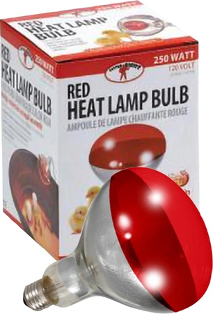 Little Giant Red Heat Bulb 250W/120V