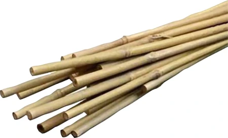 MyGarden 2' Natural Bamboo Stakes 25pk