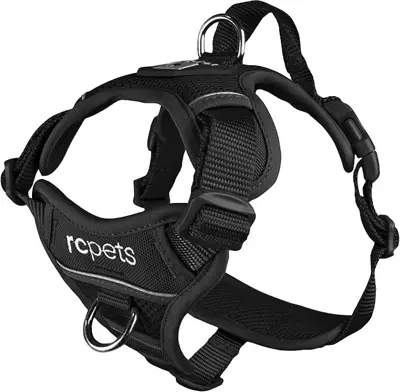 RC Momentum Control Harness Medium Black