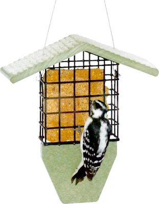 Birds Choice Tail Prop Suet Cage Feeder Single Cake