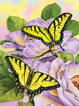 Paint By Number: Swallowtail Butterflies