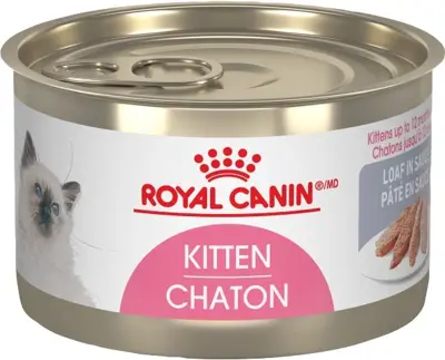 Royal Canin FHN Kitten Loaf In Sauce Cat Food 145g