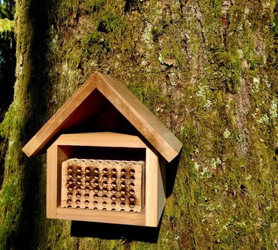 Bee Canadian Mason Bee Chalet Kit