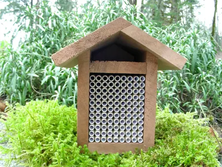 Bee Canadian Mason Bee House Full Kit