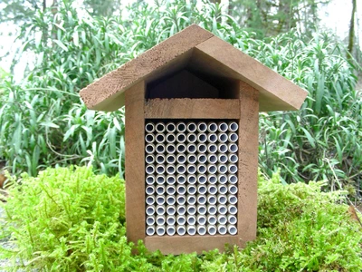 Bee Canadian Mason Bee House Full Kit