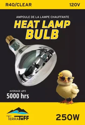 Terratuff Heat Bulb R40 Clear 250W