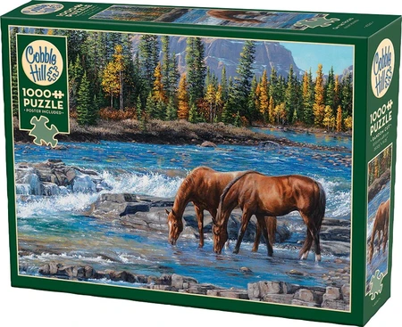 Cobble Hill On The Rocks Puzzle 1000pc