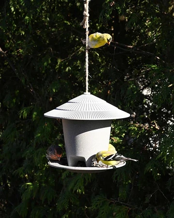 Pinebush Eco Forage Bird Feeder