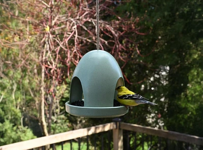 Pinebush Eco Dome Bird Feeder - Green