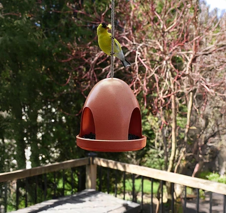 Pinebush Eco Dome Bird Feeder - Terra