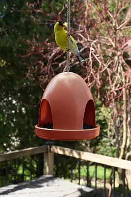 Pinebush Eco Dome Bird Feeder - Terra