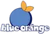 Blue Orange Games